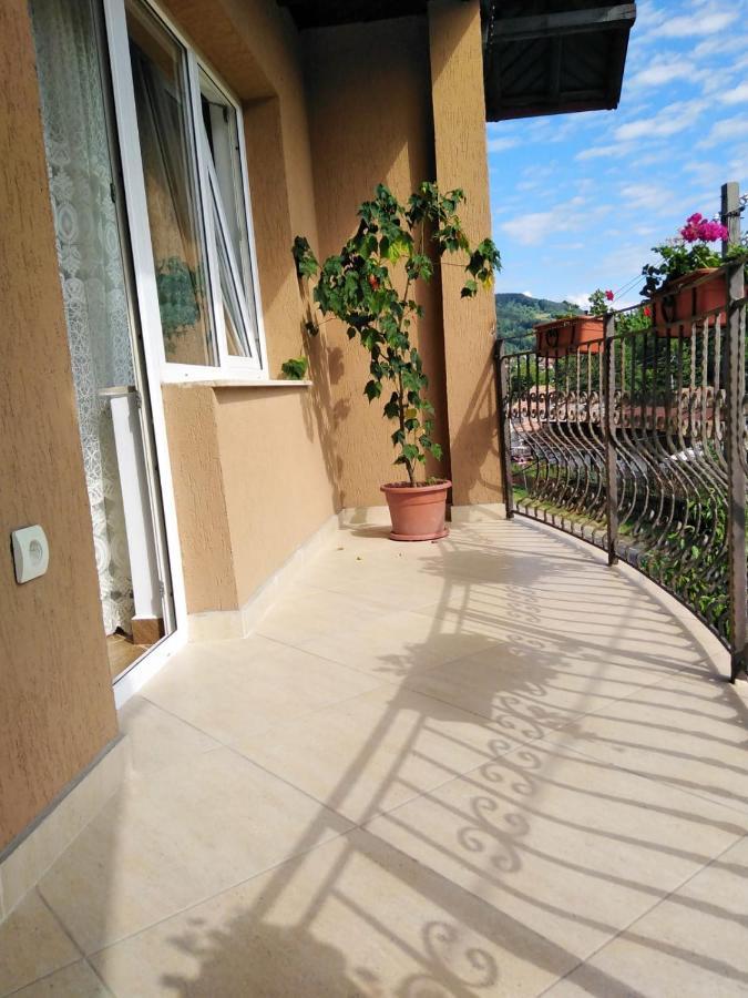 Casa Diana-Maria Apartment Curtea De Arges Exterior photo