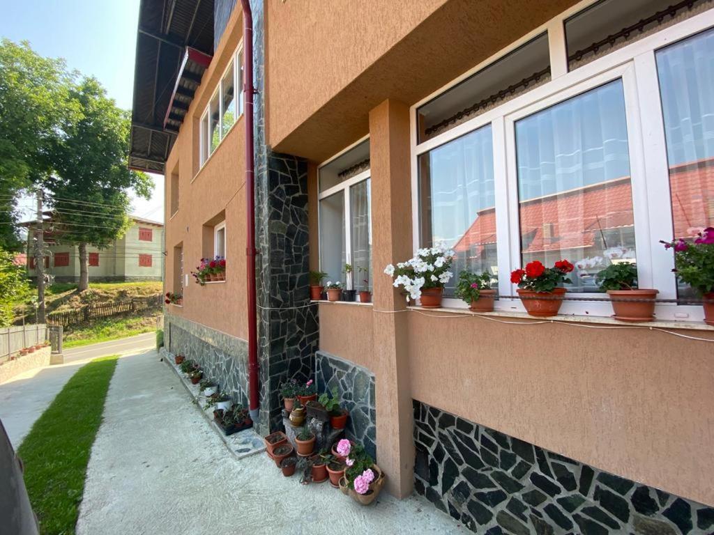 Casa Diana-Maria Apartment Curtea De Arges Exterior photo
