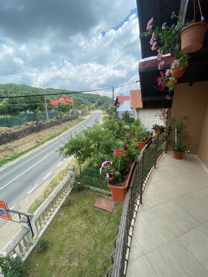 Casa Diana-Maria Apartment Curtea De Arges Exterior photo