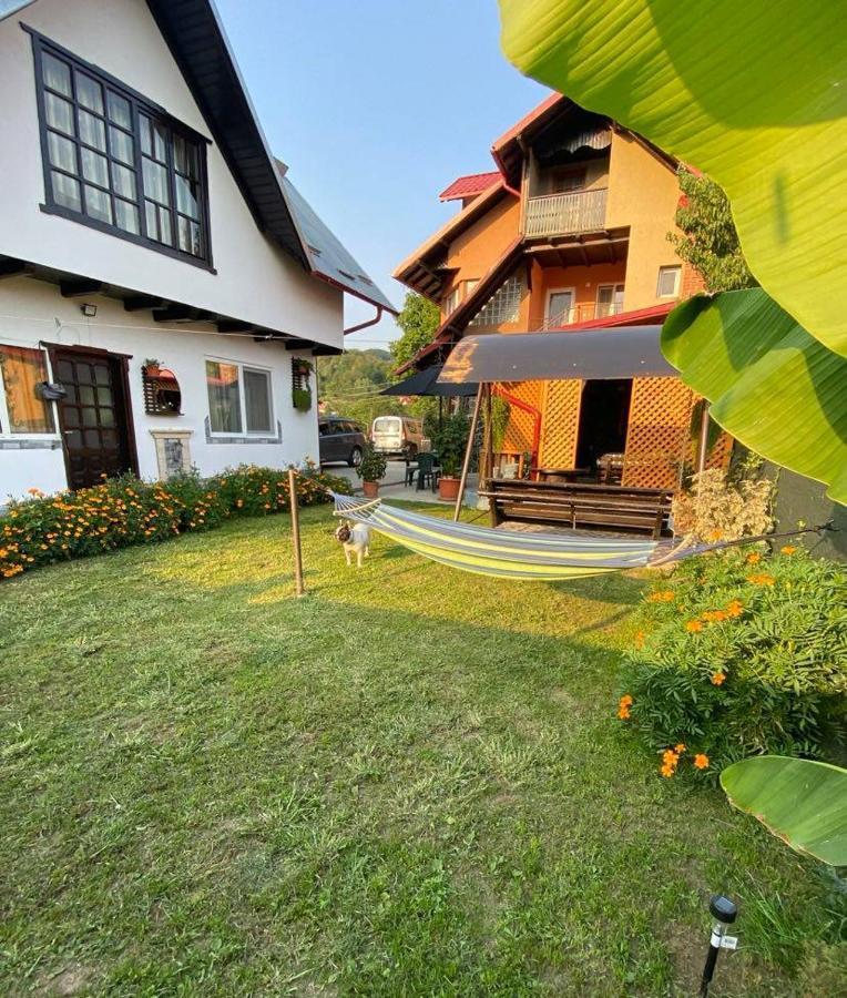 Casa Diana-Maria Apartment Curtea De Arges Exterior photo