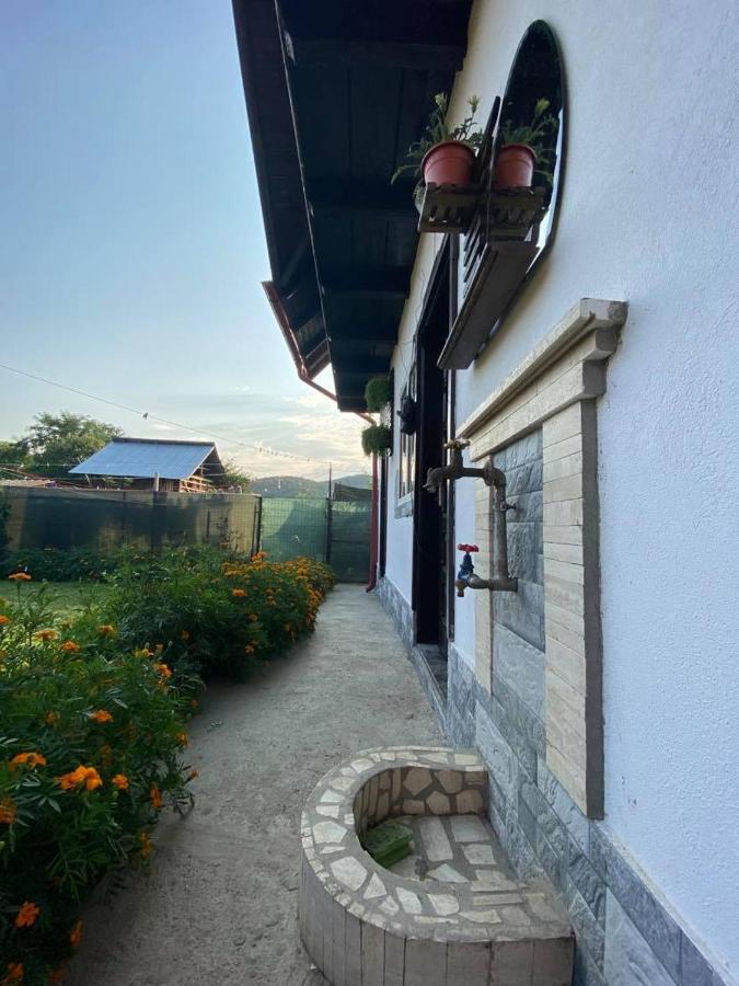 Casa Diana-Maria Apartment Curtea De Arges Exterior photo