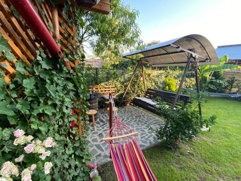 Casa Diana-Maria Apartment Curtea De Arges Exterior photo