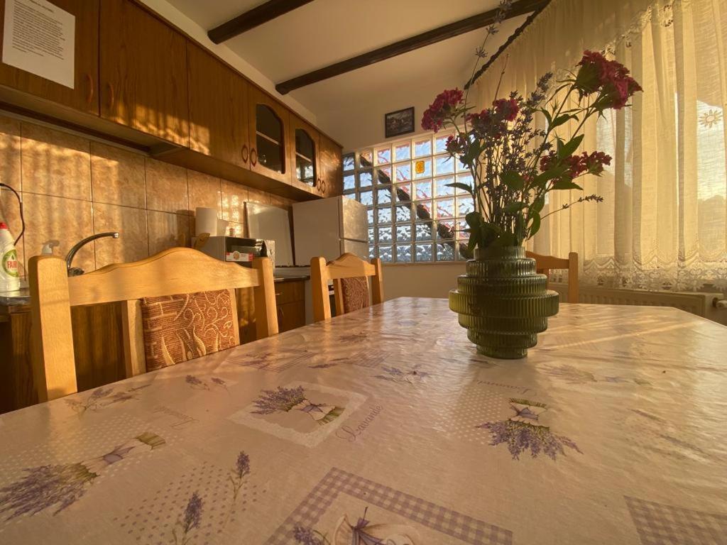 Casa Diana-Maria Apartment Curtea De Arges Exterior photo