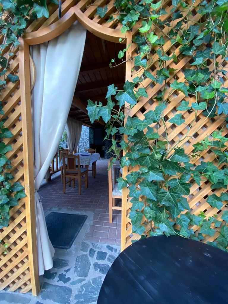 Casa Diana-Maria Apartment Curtea De Arges Exterior photo